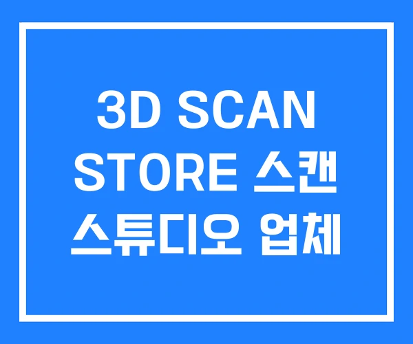 3D SCAN STORE 스캔 스튜디오 업체 3D SCAN STORE 스캔 스튜디오 업체