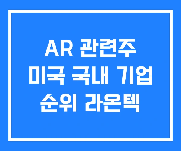 AR 관련주 미국 국내 기업 순위 라온텍