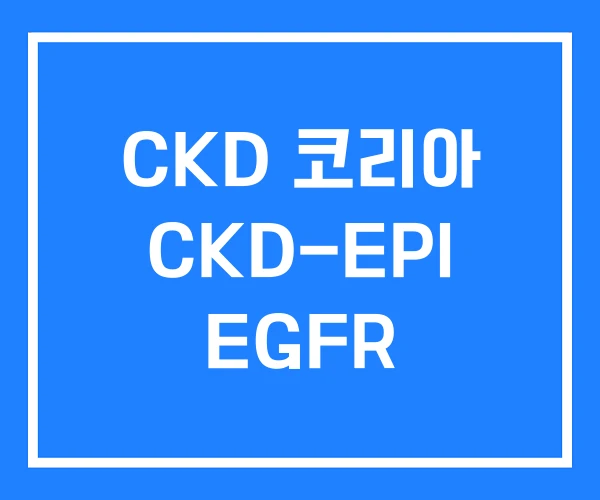 CKD 코리아 CKD-EPI EGFR CKD 코리아 CKD-EPI EGFR