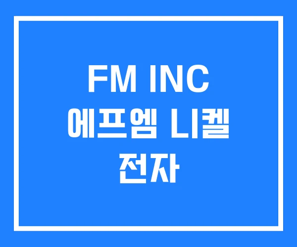 FM INC 에프엠 니켈 전자