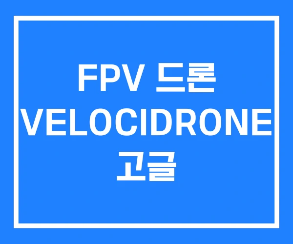 FPV 드론 VELOCIDRONE 고글 FPV 드론 VELOCIDRONE 고글