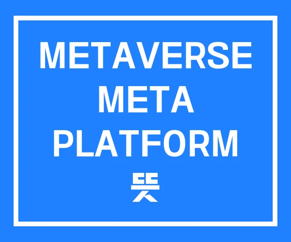 METAVERSE META PLATFORM 뜻 METAVERSE META PLATFORM 뜻