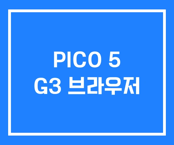 PICO 5 G3 브라우저 PICO 5 G3 브라우저