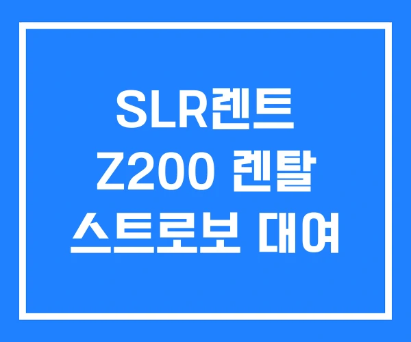 SLR렌트 Z200 렌탈 스트로보 대여 SLR렌트 Z200 렌탈 스트로보 대여