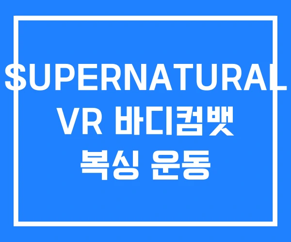 SUPERNATURAL VR 바디컴뱃 복싱 운동 SUPERNATURAL VR 바디컴뱃 복싱 운동