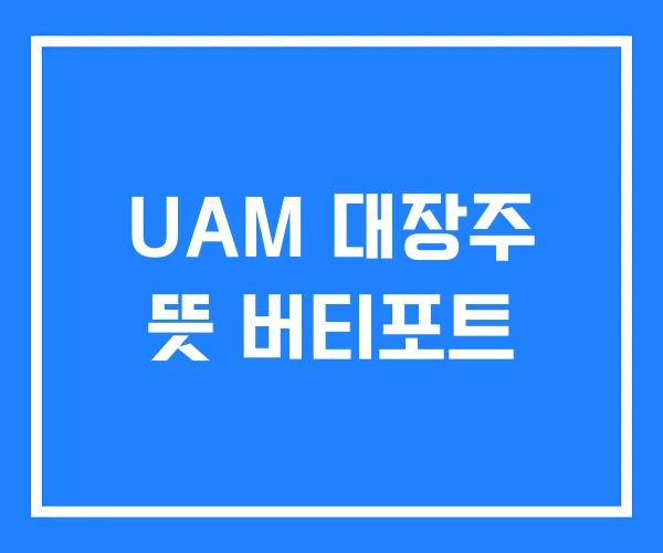 UAM 대장주 뜻 버티포트 UAM 대장주 뜻 버티포트