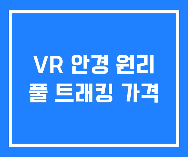 VR 안경 원리 풀 트래킹 가격