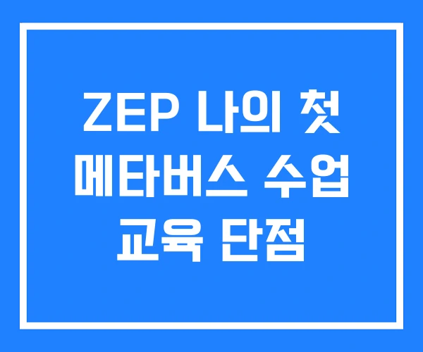 ZEP 나의 첫 메타버스 수업 교육 단점 ZEP 나의 첫 메타버스 수업 교육 단점