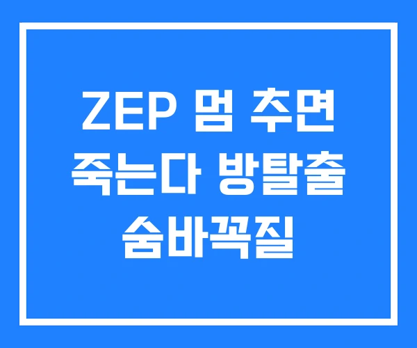 ZEP 멈 추면 죽는다 방탈출 숨바꼭질