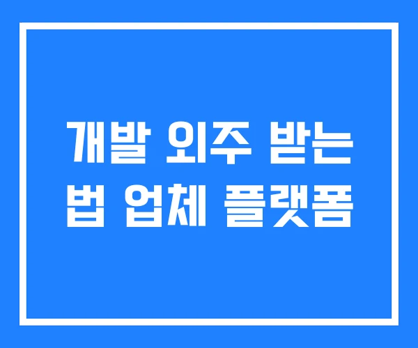 개발 외주 받는 법 업체 플랫폼