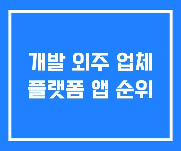 개발 외주 업체 플랫폼 앱 순위