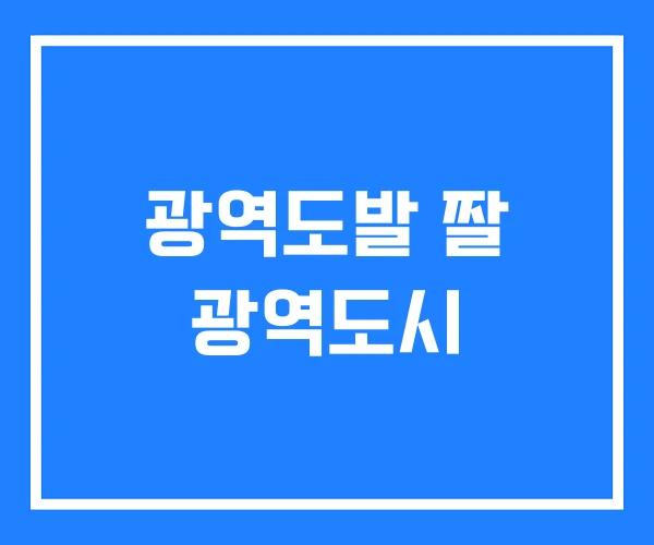 광역도발 짤 광역도시 광역도발 짤 광역도시