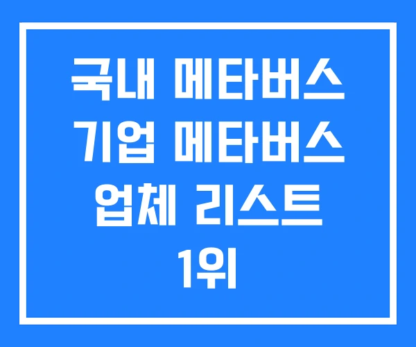 국내 메타버스 기업 메타버스 업체 리스트 1위