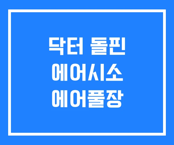 닥터 돌핀 에어시소 에어풀장 닥터 돌핀 에어시소 에어풀장