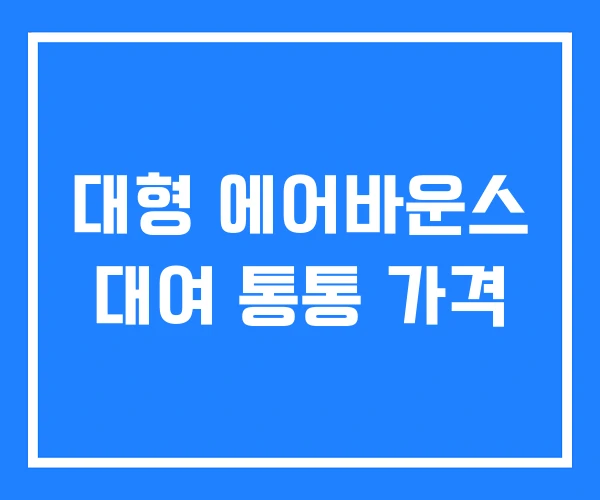 대형 에어바운스 대여 통통 가격