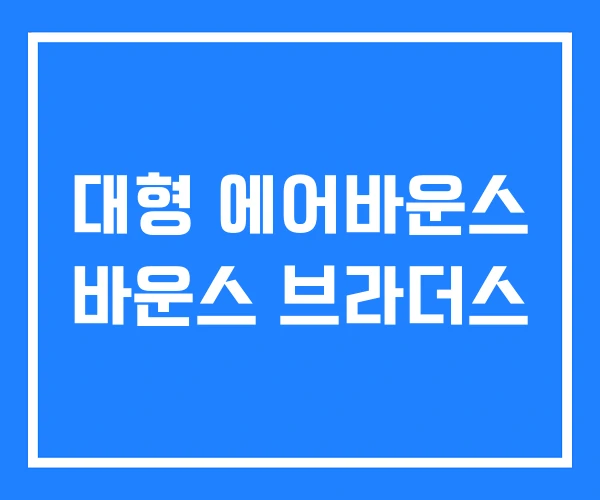 대형 에어바운스 바운스 브라더스 대형 에어바운스 바운스 브라더스