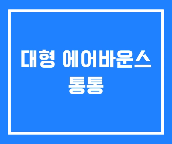 대형 에어바운스 통통 대형 에어바운스 통통