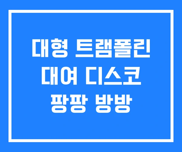 대형 트램폴린 대여 디스코 팡팡 방방 대형 트램폴린 대여 디스코 팡팡 방방