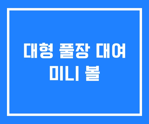 대형 풀장 대여 미니 볼 대형 풀장 대여 미니 볼