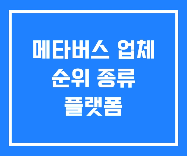 메타버스 업체 순위 종류 플랫폼