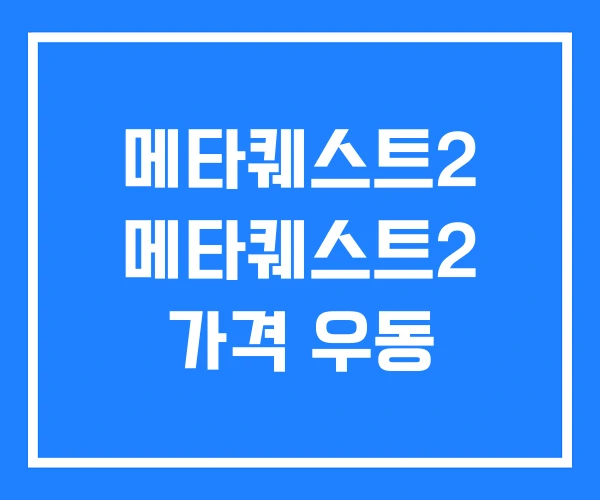 메타퀘스트2 메타퀘스트2 가격 우동