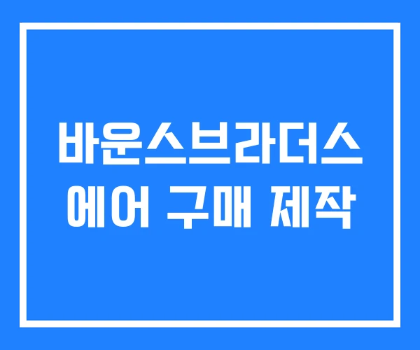 바운스브라더스 에어 구매 제작 바운스브라더스 에어 구매 제작