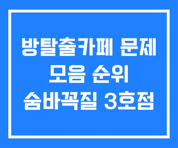 방탈출카페 문제 모음 순위 숨바꼭질 3호점