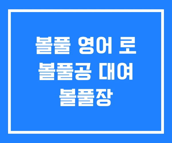볼풀 영어 로 볼풀공 대여 볼풀장 볼풀 영어 로 볼풀공 대여 볼풀장