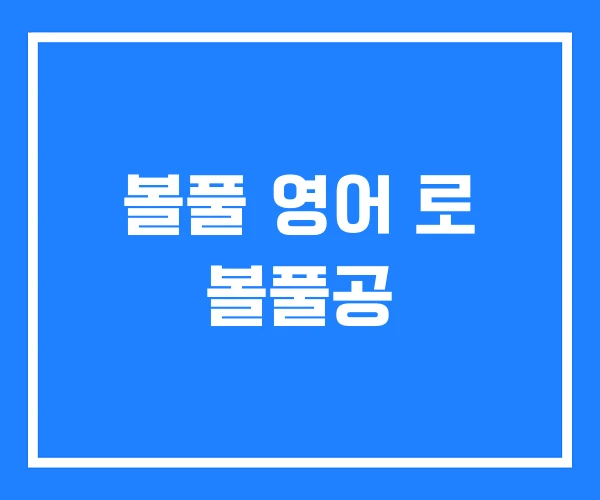 볼풀 영어 로 볼풀공