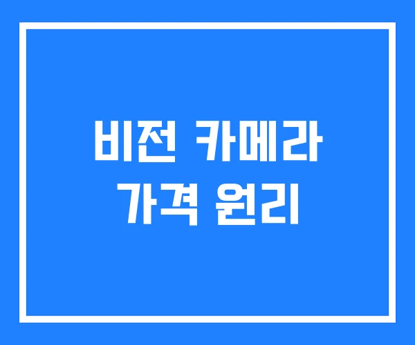 비전 카메라 가격 원리 비전 카메라 가격 원리