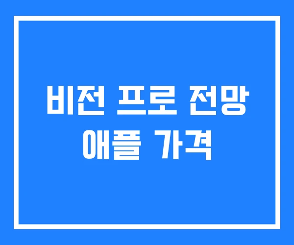 비전 프로 전망 애플 가격 비전 프로 전망 애플 가격