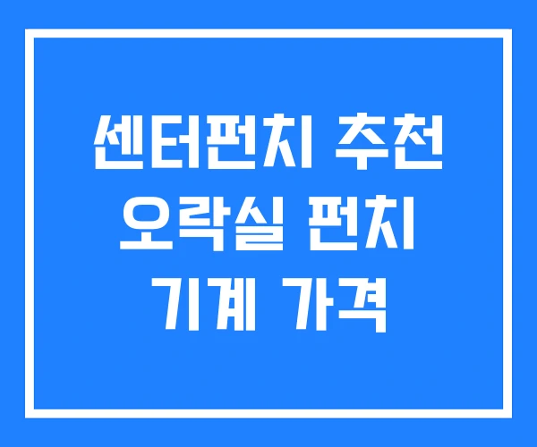 센터펀치 추천 오락실 펀치 기계 가격 센터펀치 추천 오락실 펀치 기계 가격