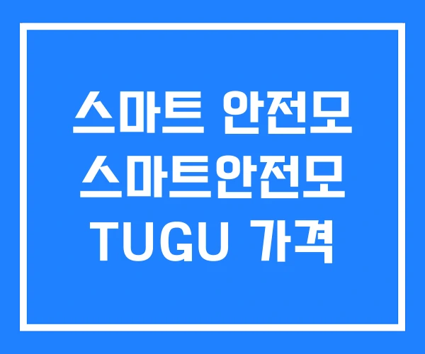 스마트 안전모 스마트안전모 TUGU 가격