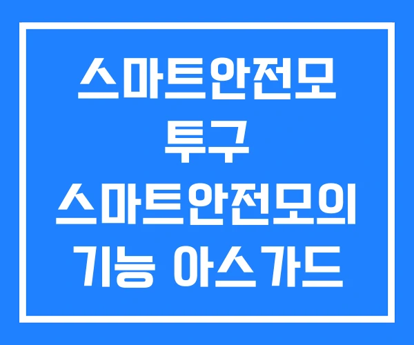 스마트안전모 투구 스마트안전모의 기능 아스가드 스마트안전모 투구 스마트안전모의 기능 아스가드