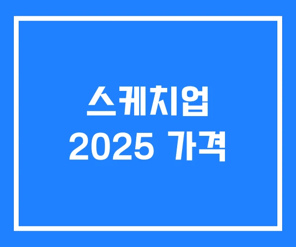 스케치업 2025 가격