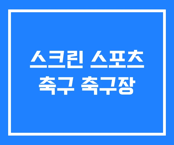 스크린 스포츠 축구 축구장 스크린 스포츠 축구 축구장