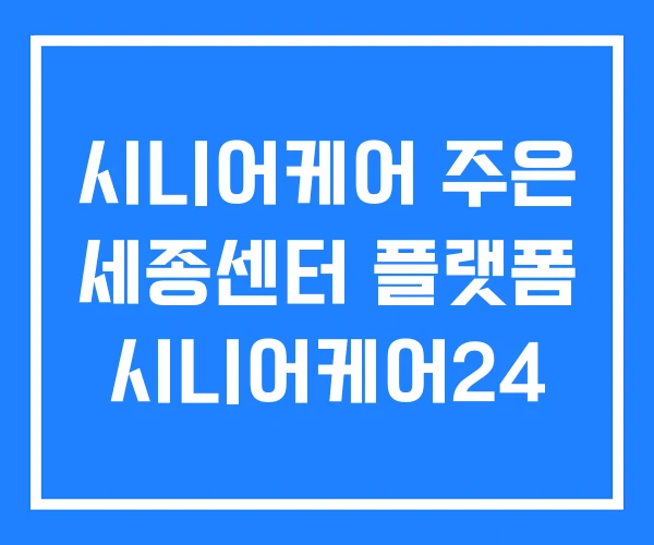 시니어케어 주은 세종센터 플랫폼 시니어케어24