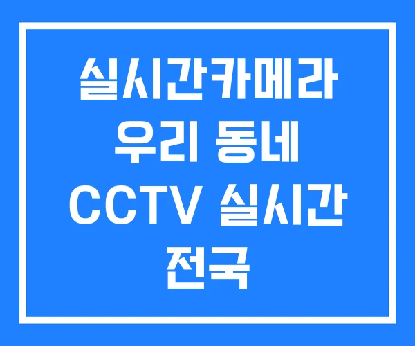 실시간카메라 우리 동네 CCTV 실시간 전국