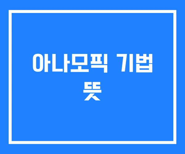 아나모픽 기법 뜻