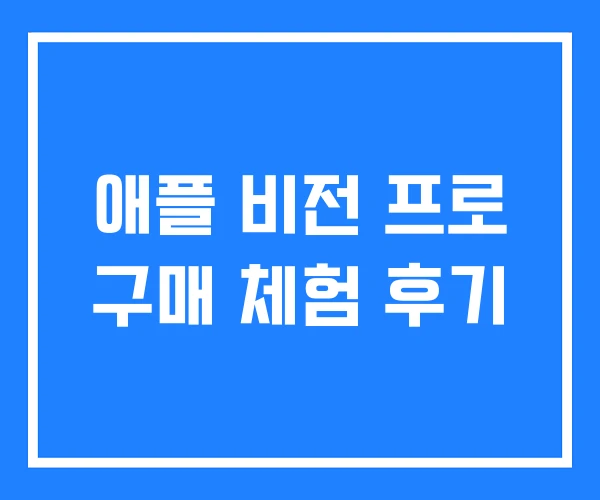 애플 비전 프로 구매 체험 후기 애플 비전 프로 구매 체험 후기