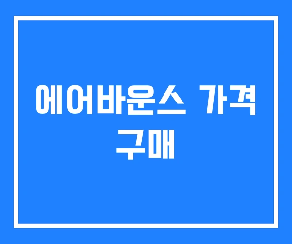 에어바운스 가격 구매 에어바운스 가격 구매