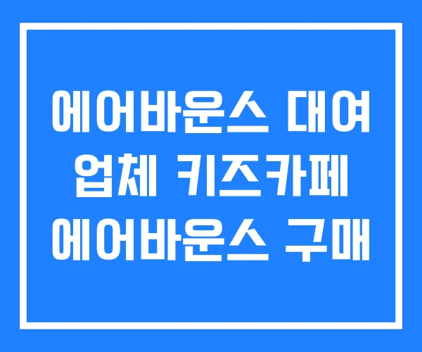 에어바운스 대여 업체 키즈카페 에어바운스 구매