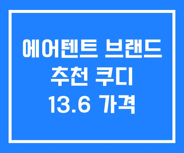 에어텐트 브랜드 추천 쿠디 13.6 가격 에어텐트 브랜드 추천 쿠디 13.6 가격