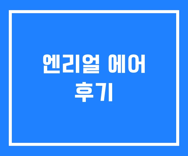 엔리얼 에어 후기