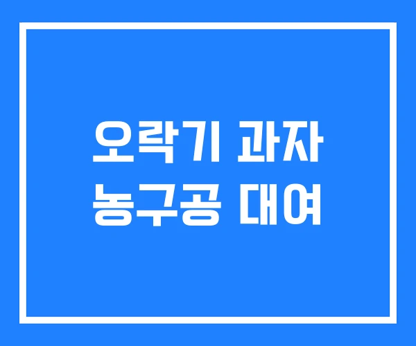 오락기 과자 농구공 대여 오락기 과자 농구공 대여