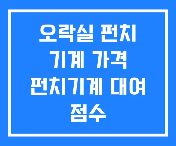 오락실 펀치 기계 가격 펀치기계 대여 점수 오락실 펀치 기계 가격 펀치기계 대여 점수