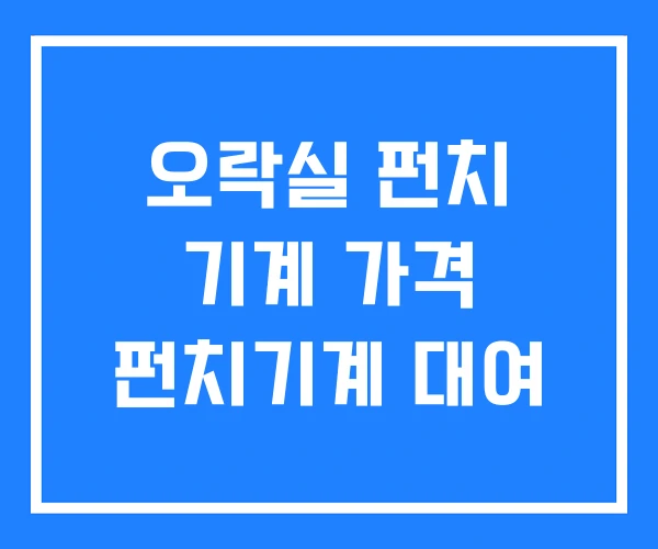 오락실 펀치 기계 가격 펀치기계 대여 오락실 펀치 기계 가격 펀치기계 대여