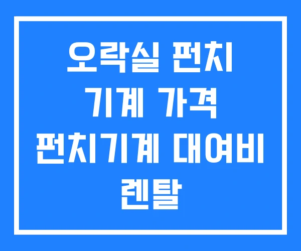 오락실 펀치 기계 가격 펀치기계 대여비 렌탈 오락실 펀치 기계 가격 펀치기계 대여비 렌탈