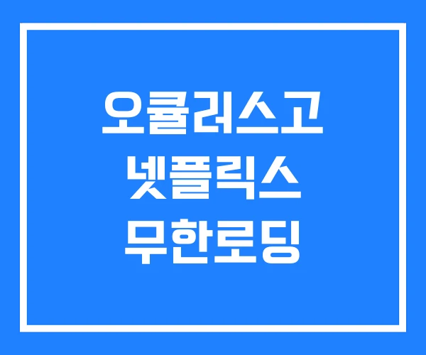 오큘러스고 넷플릭스 무한로딩 오큘러스고 넷플릭스 무한로딩