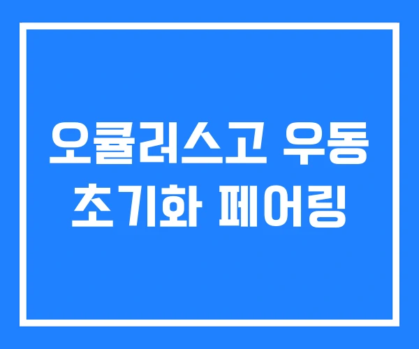 오큘러스고 우동 초기화 페어링 오큘러스고 우동 초기화 페어링